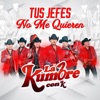 Tus Jefes No Me Quieren (Merequetengue) - Single