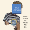 Jack Leopards & The Dolphin Club - Look What You Made Me Do  artwork