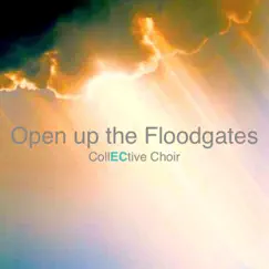 Open Up the Floodgates - Single by Collective Choir album reviews, ratings, credits