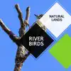 River Birds - Natural Lands album lyrics, reviews, download