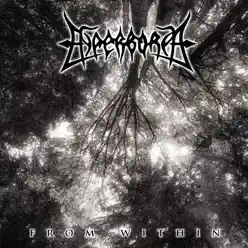From Within - Single - Hyperborea