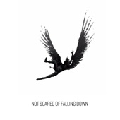 Not Scared of Falling Down artwork