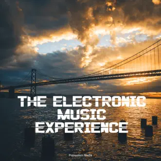 The Electronic Music Experience by Various Artists album reviews, ratings, credits