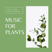 Music for Plants to Grow artwork