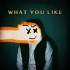 What You Like (feat. Flipp Dinero) - Single album lyrics, reviews, download