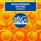 Sunrises (feat. T. Nile) [Lifelike Instrumental Mix] [Florians Vocal Edit] artwork