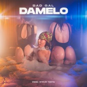 Damelo artwork