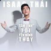 Tâm Linh Tôi Yên Ninh Thay artwork