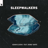 Sleepwalkers (feat. Denny White) artwork