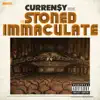 The Stoned Immaculate (Deluxe Version) album lyrics, reviews, download