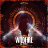 Stream & download Wildfire - Single