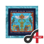 Jesse Colin Young - Get Together (SongAid) [feat. Steve Miller]