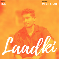 Megh Shah & DK - Laadki artwork