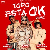 Todo Está Ok Remix artwork