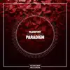 Paradigm - Single album lyrics, reviews, download