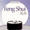 New Age Series: Feng Shui, 2005