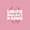 Pocket P Song - LNDFK lyrics