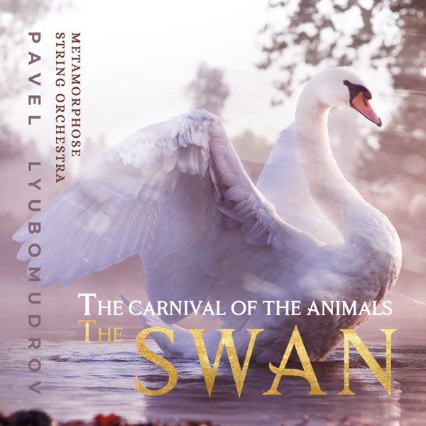 Camille Saint-Saëns: The Carnival of the Animals, R. 125: XIII. The Swan  (Arr. for Violin, Harp and String Orchestra) - Single by Metamorphose  String Orchestra & Pavel Lyubomudrov on Apple Music