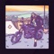 Amica - Cape Lion lyrics