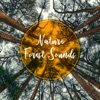 Nature Forest Sounds, 2019