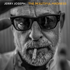 THE BEAUTIFUL MADNESS cover art