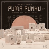 Puma Punku (Zuma Dionys Remix) artwork