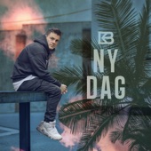 Ny Dag artwork