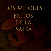 Los Mejores Éxitos De La Salsa artwork