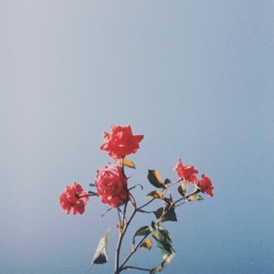 Last Love 5 - EP