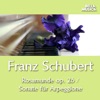 Schubert: Rosamunde, Op. 26 - Sonate, D. 821