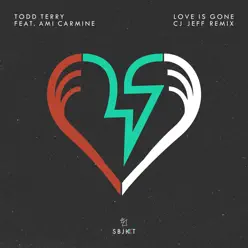 Love Is Gone (feat. Ami Carmine) [Cj Jeff Remix] - Single - Todd Terry