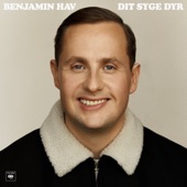 Det er dejligt nu artwork