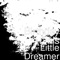Little Dreamer artwork