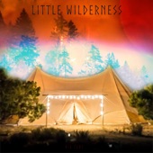 Little Wilderness - Starting New