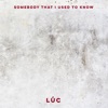 Somebody That I Used to Know - Single