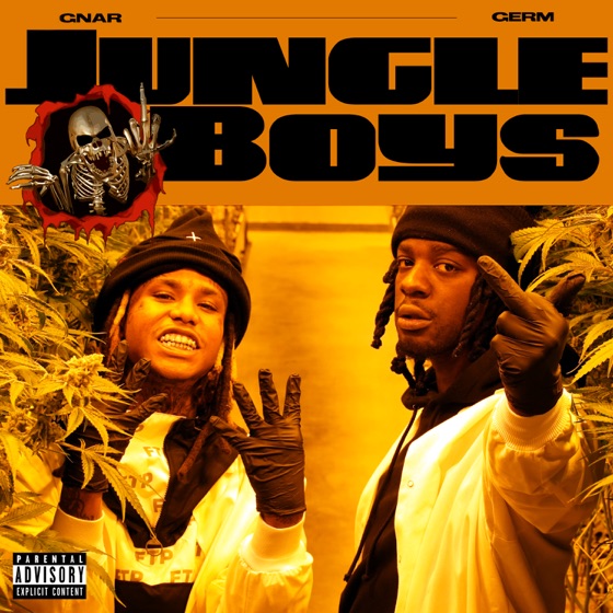 Cover artwork for Jungle Boys