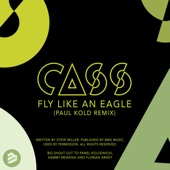 Fly Like an Eagle (Paul Kold Remix) artwork