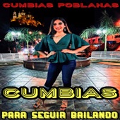 La Cumbia De Las Corcholatas artwork