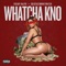 Whatcha Kno (feat. Goldfacemoneywatch) - Freaky Ralph lyrics