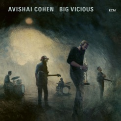 BIG VICIOUS cover art