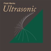 Field Works: Ultrasonic artwork