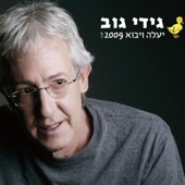 יעלה ויבוא (2009) artwork