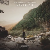 Never Die (feat. Sam Knight) artwork