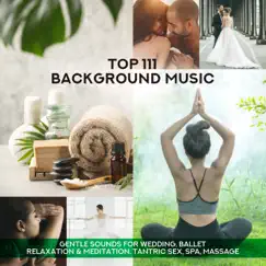 Top 111 Background Music: Gentle Sounds for Wedding, Ballet, Relaxation & Meditation, Tantric Sex, Spa, Massage by Restaurant Background Music Academy, Meditation Music Zone & Mindfulness Meditation Music Spa Maestro album reviews, ratings, credits