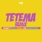 Tetema (feat. Pitbull, Mohombi, Jeon & Diamond Platnumz) [Remix] artwork