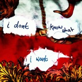 I Don't Know What I Want artwork