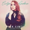 Ulek Cinta - Single