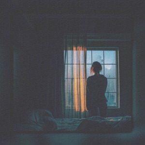 The Silence Reminds Me That I'm Not Sleeping Next to You - Single
