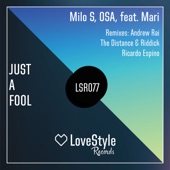 Just a Fool (feat. Mari) artwork