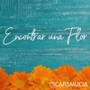 Encontrar una Flor - Single